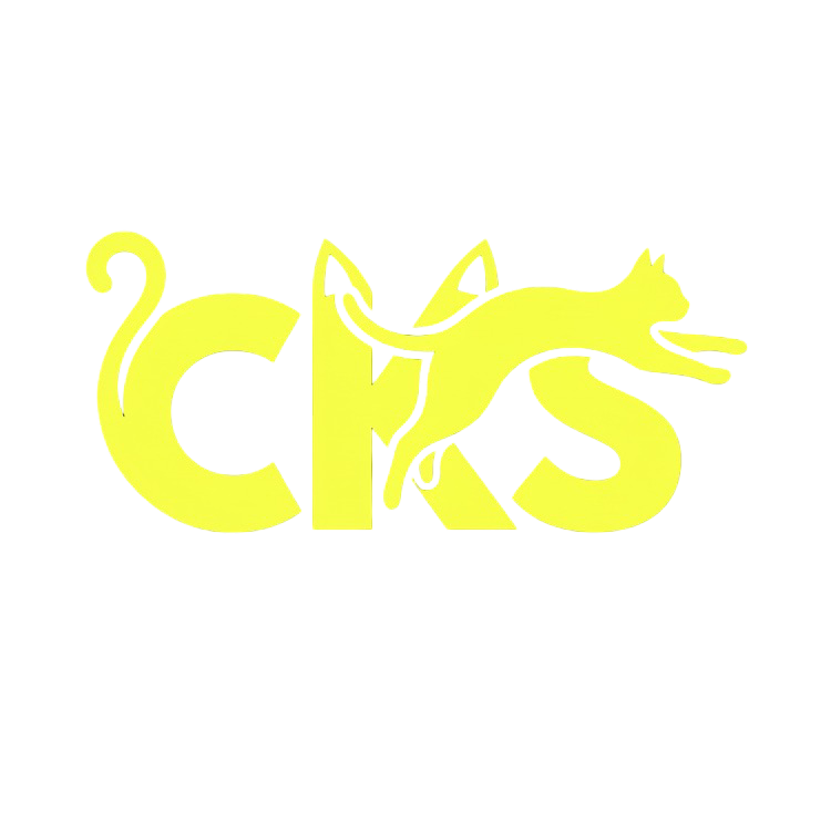 CKS Music
